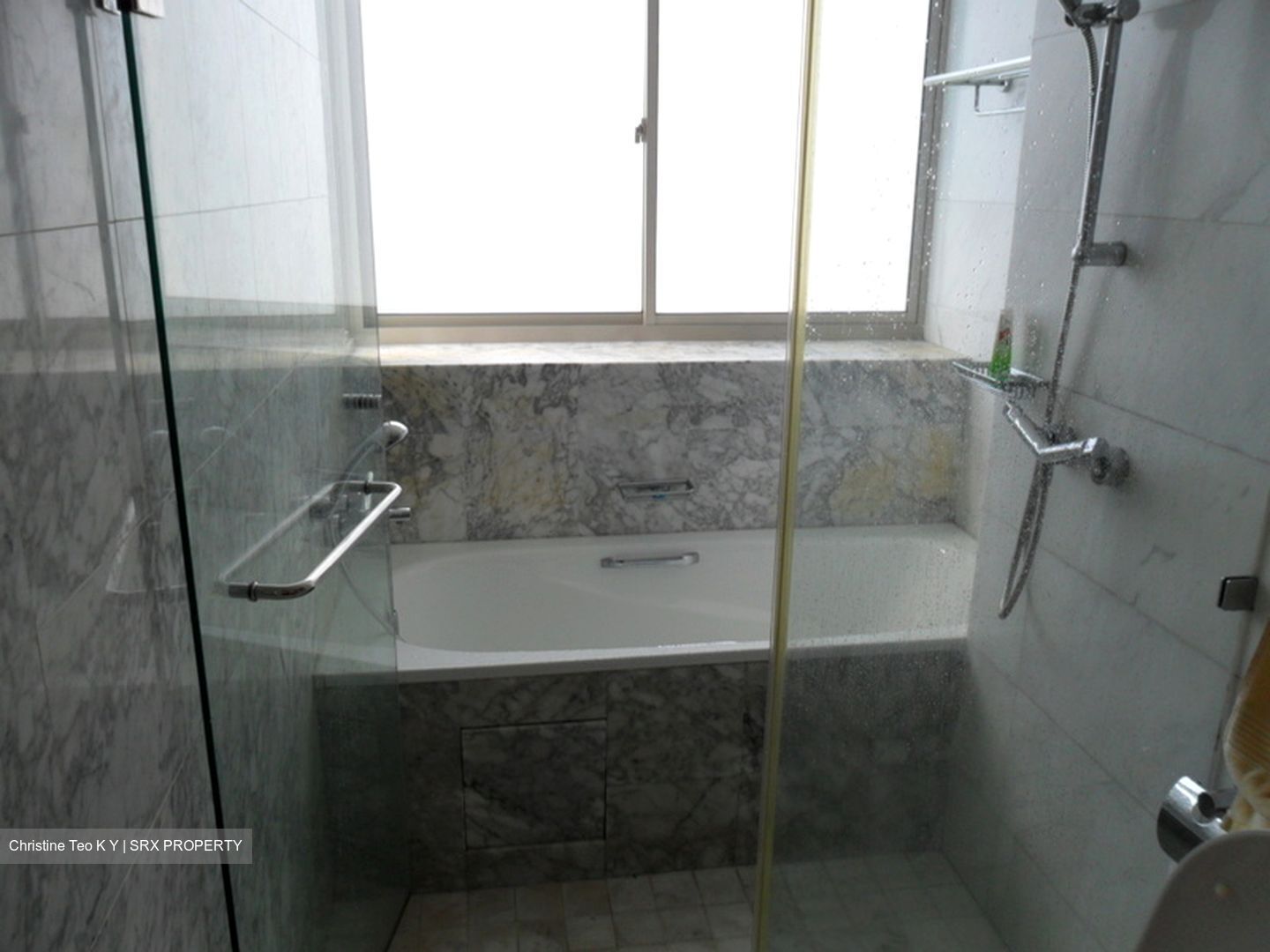 Gardenvista (D21), Condominium #322748261